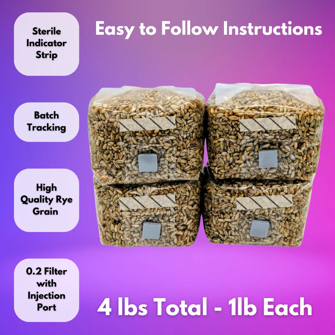 4x 1lb Sterile Mushroom Grain Spawn Bags ¨C Rye Berries Grow Kit Injection Ports
