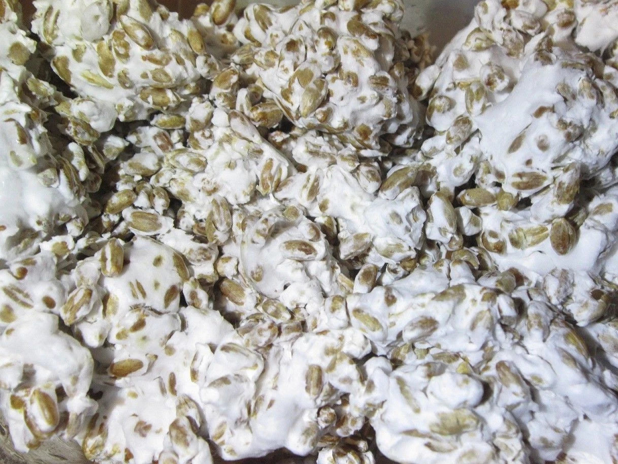 100 g of Enoki mushroom Grain Spawn US Seller!!!