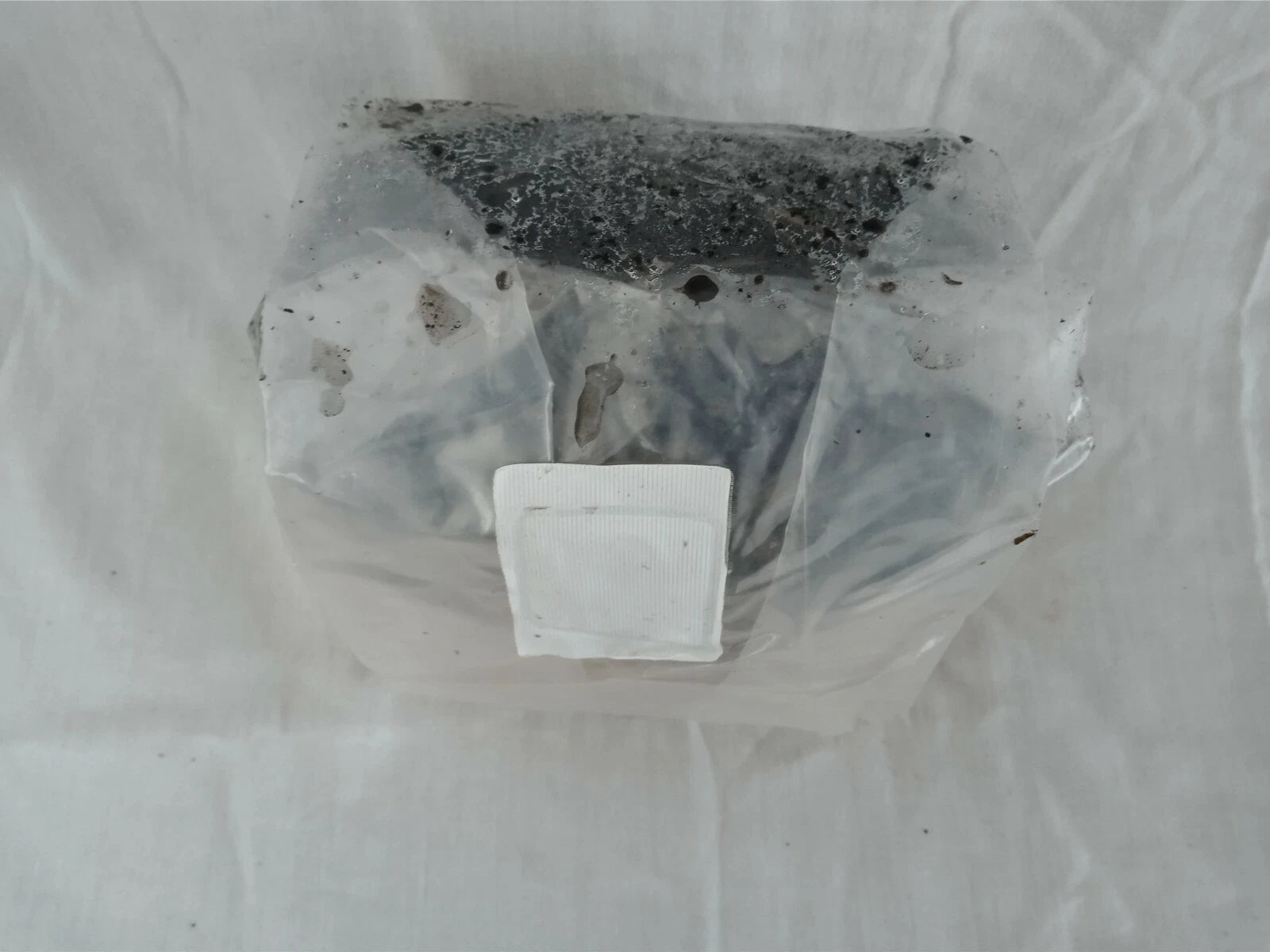 2 All in One Mushroom Grow Bags Sterilized 3.5lb GROWING BIO-BAG KIT FAST SHP[B]