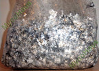 MycoHaus 5 LBS Sterilized Compost Bulk Mushroom Substrate Grow Kit Spawn bags