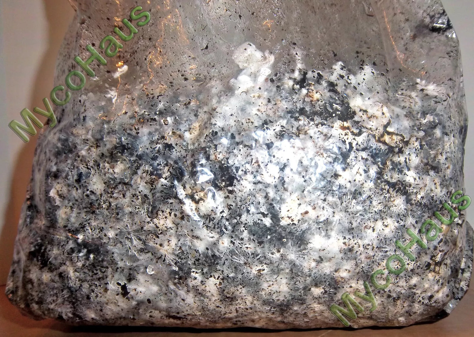 MycoHaus 5 LBS Sterilized Compost Bulk Mushroom Substrate Grow Kit Spawn bags