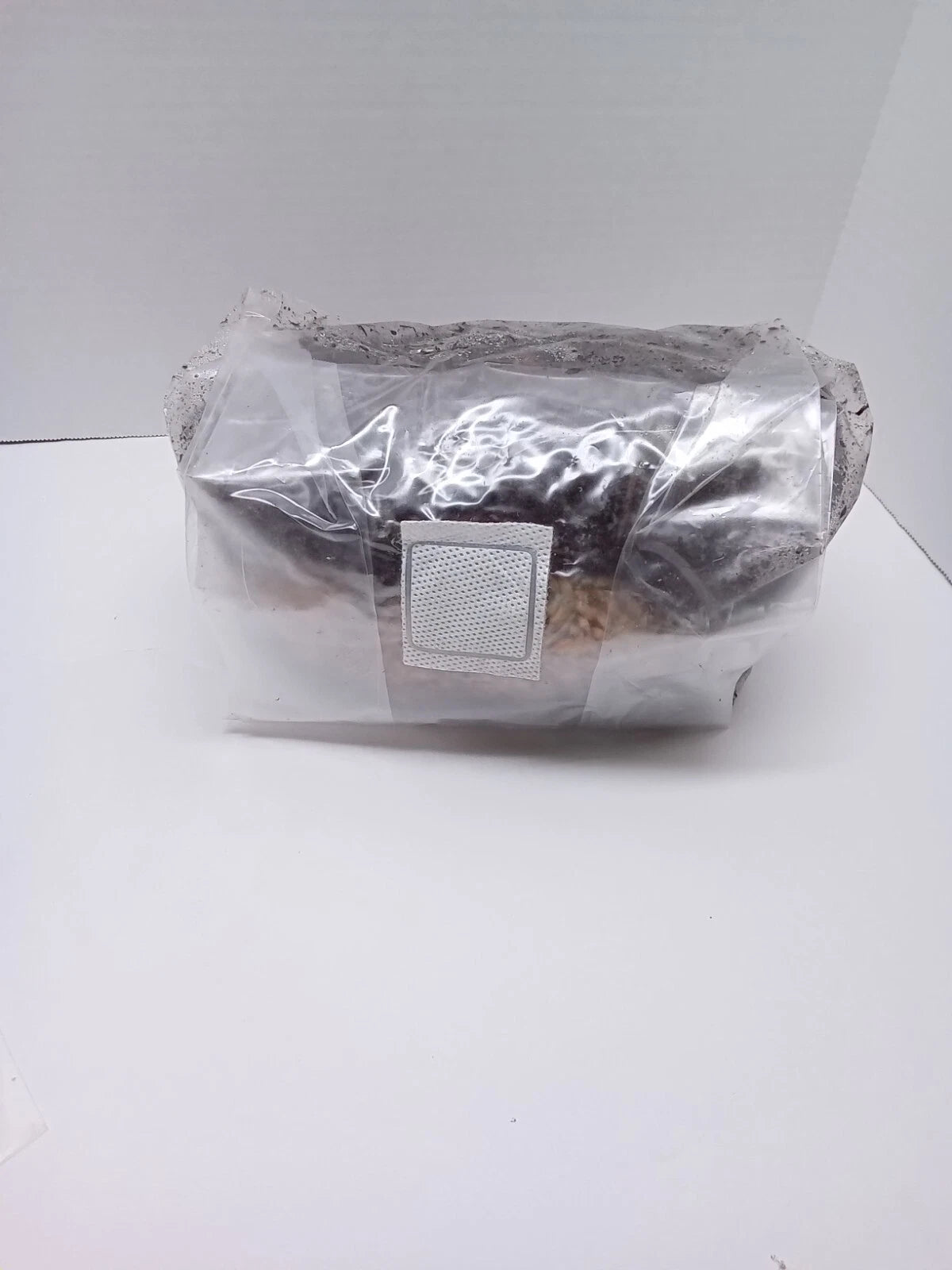 5.5 lb All in One Mushroom Grow Bag Sterilized GROWING BIO-BAG KIT FAST SHIP [A]