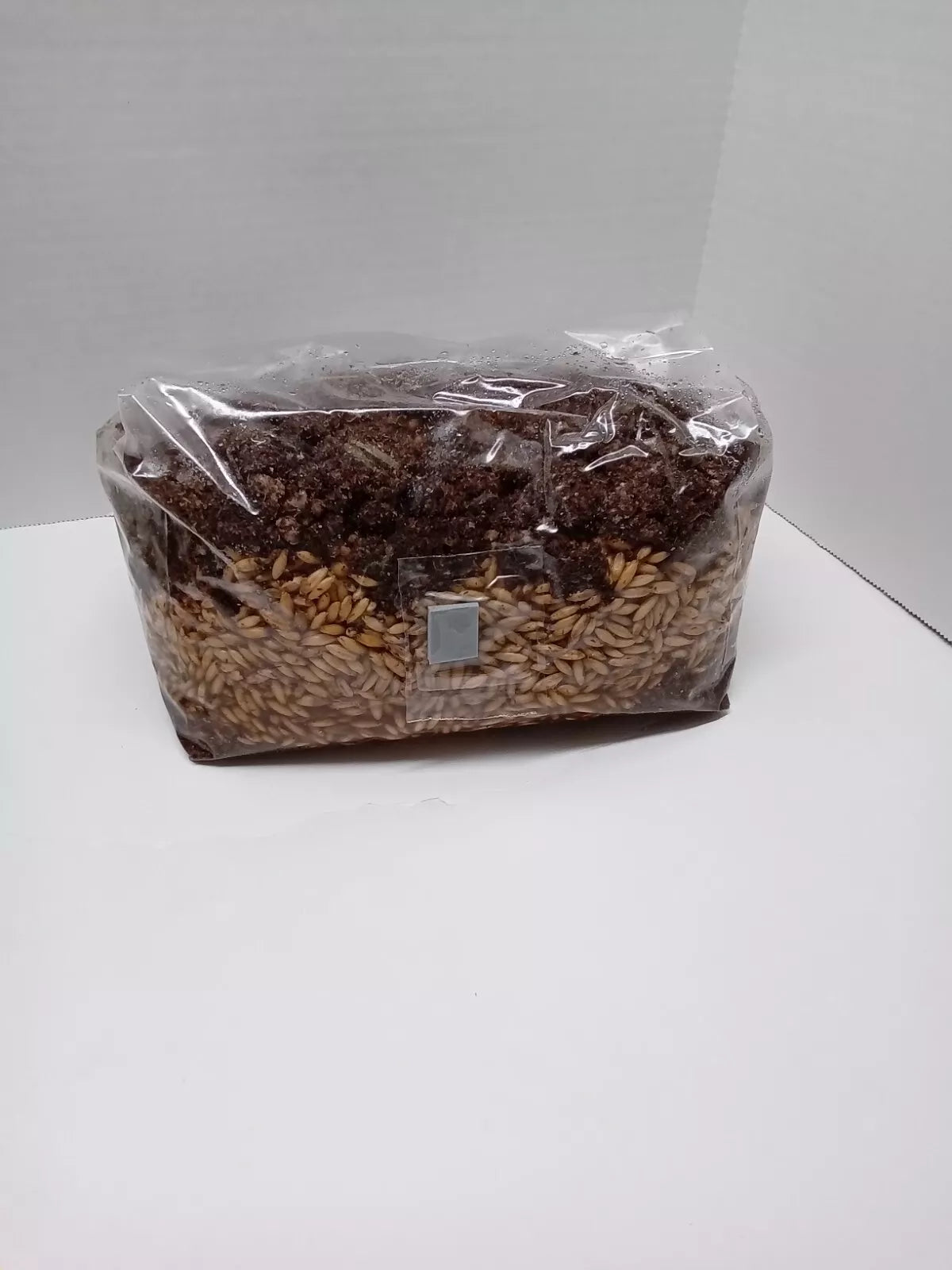 Mushroom Grow Bag 5.5 lb DUNG BASE sterile All in One GROWING  KIT FAST SHIP [B]
