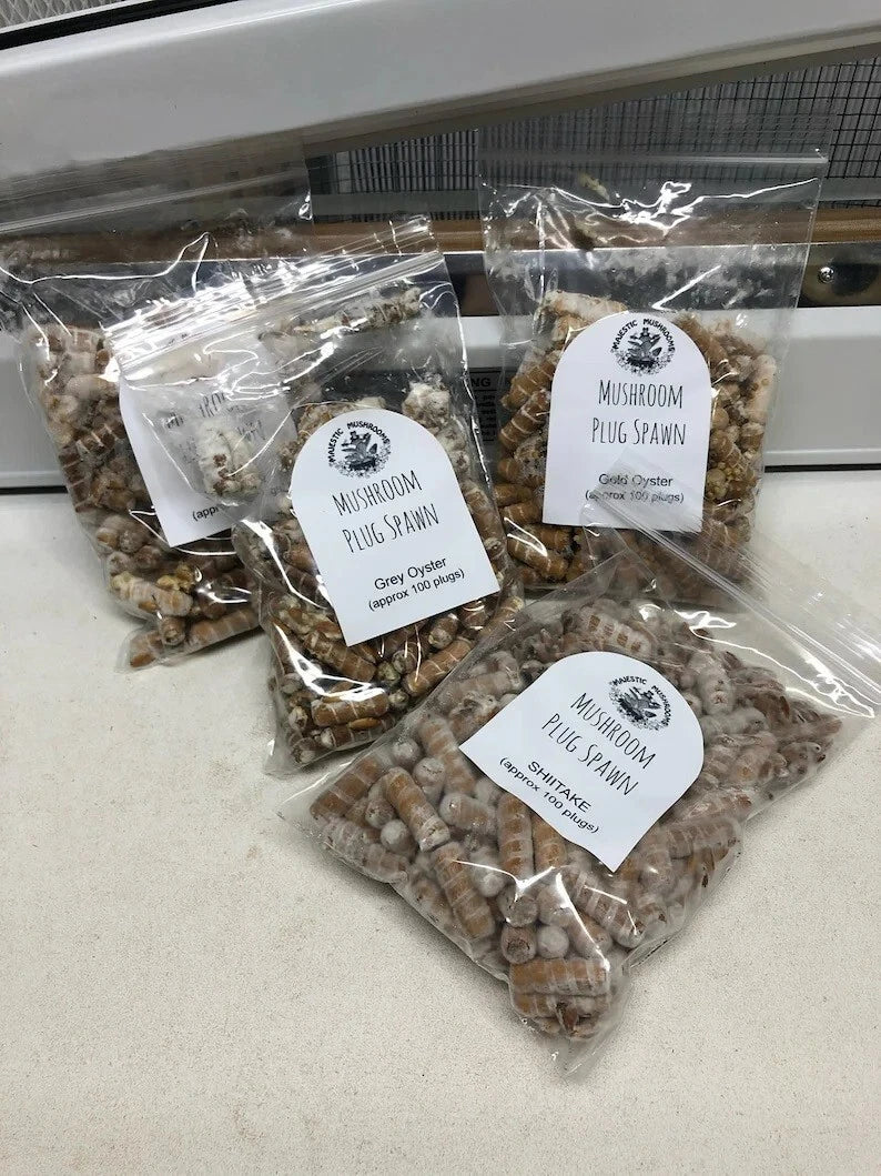 Mushroom plug spawn variety pack 4 100 packs