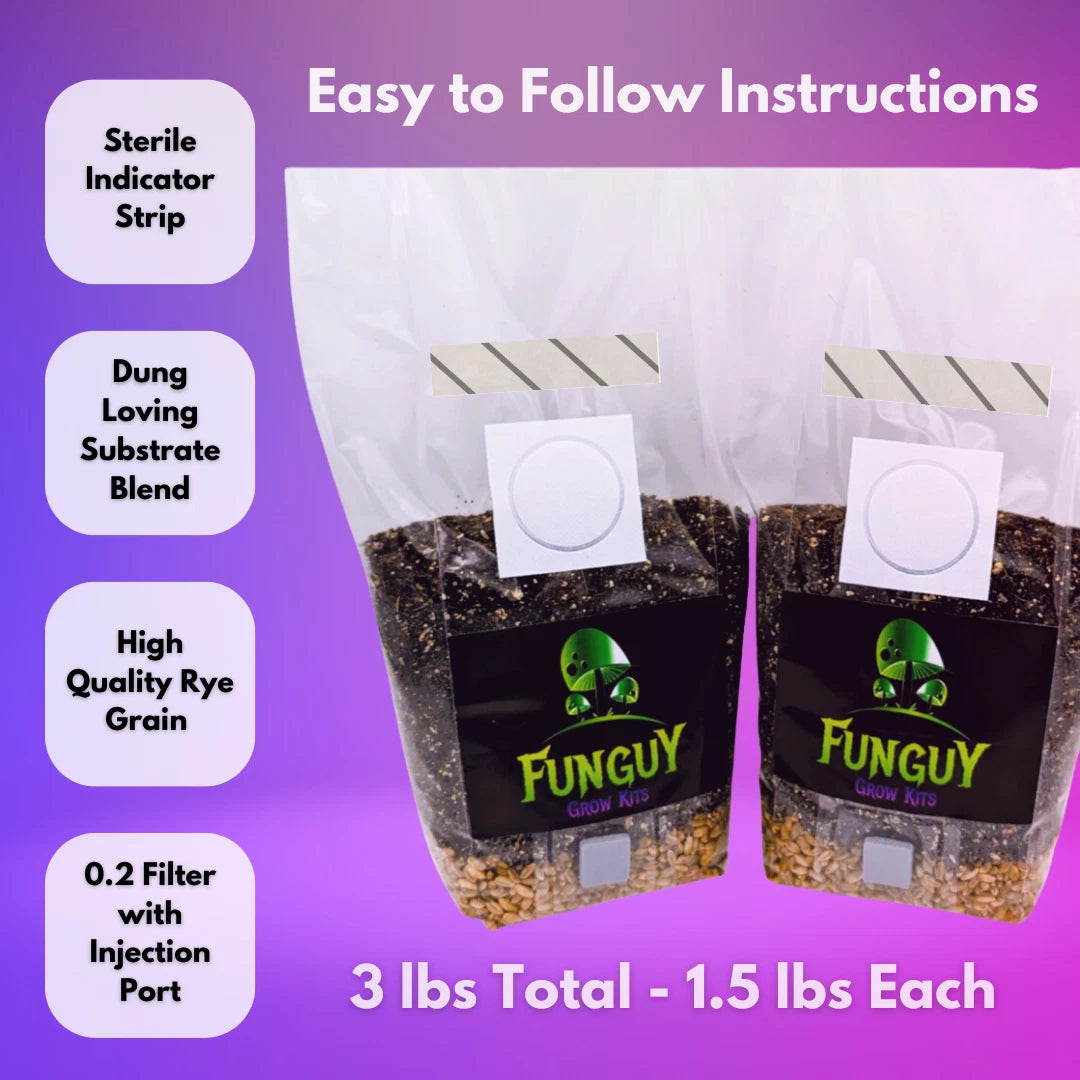 2-Pack - All-in-One Mushroom Growing Kit Sterile Grow Bag Rye Grain Substrate