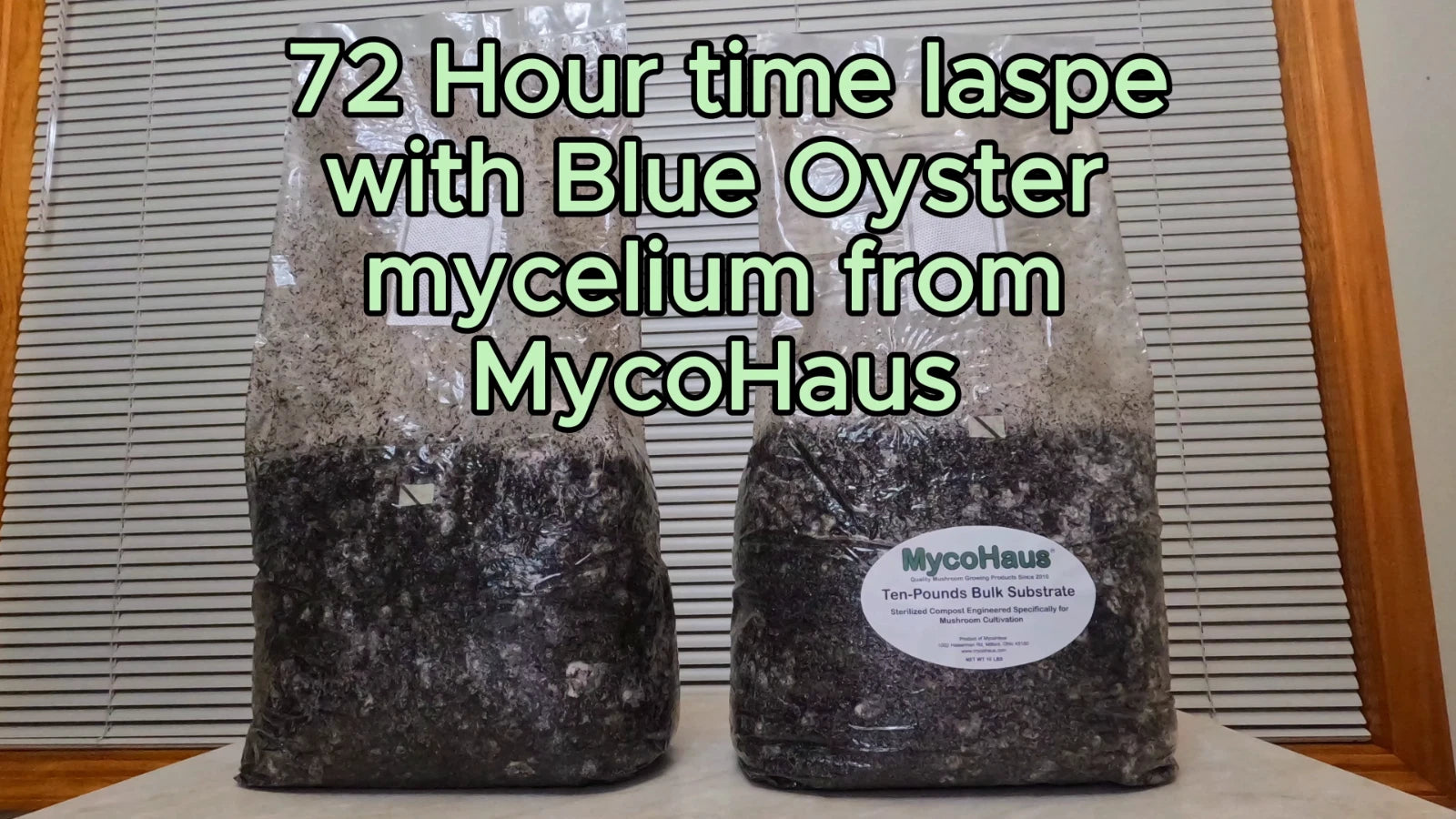 MycoHaus 10 LBS Sterilized Compost Bulk Mushroom Substrate Growing Kit Spawn Bag