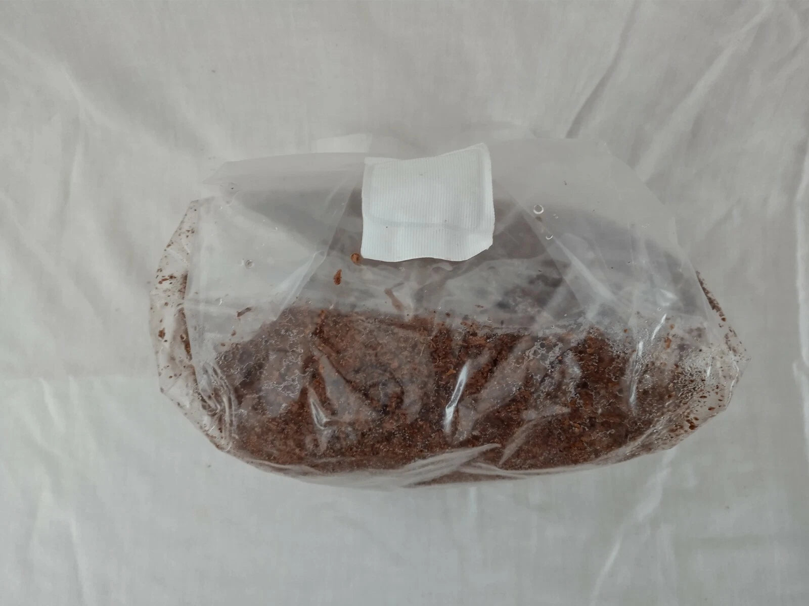 All in One Mushroom Grow Bag Sterilized 3.5 lb GROWING BIO-BAG KIT FAST SHIP [A]