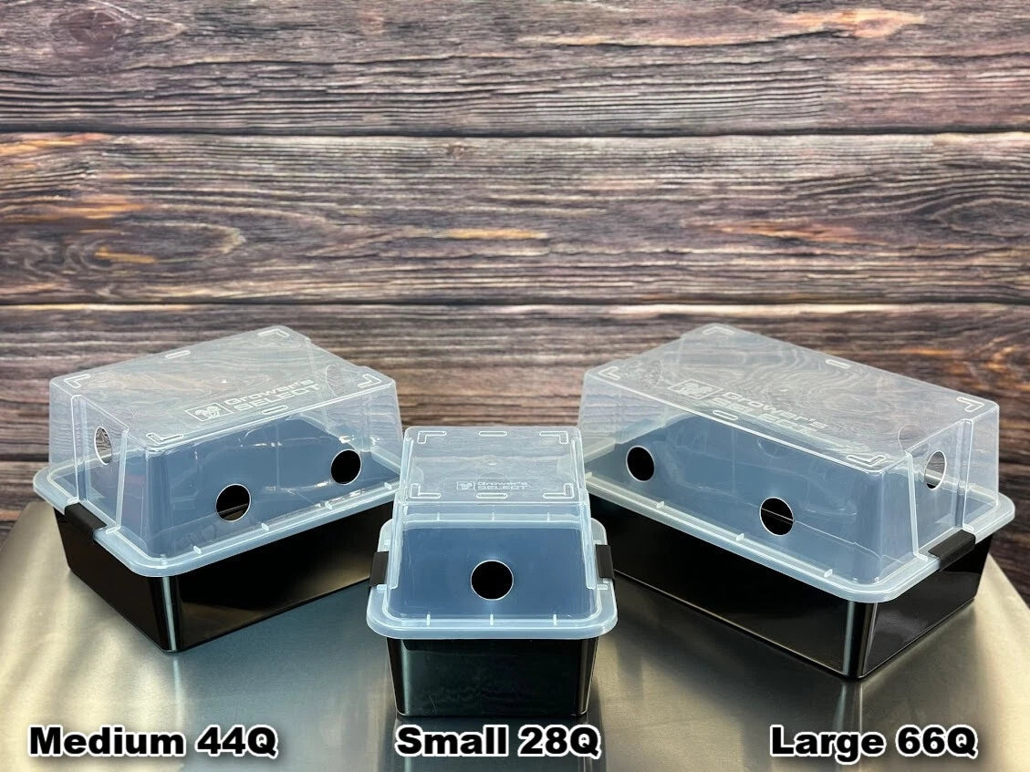 Grower's Select 48Q Mushroom Monotub Fruiting Chamber w/ Filter Disks and Liner