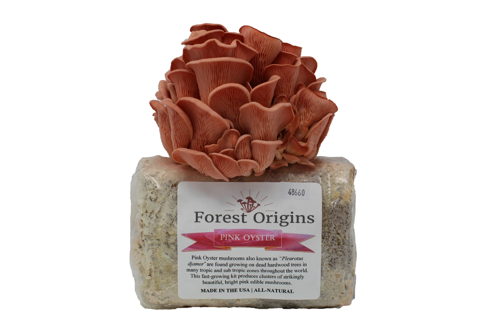 Pink Oyster Mushroom Grow Kit by Forest Origins | Beginner Mushroom Growing Kit
