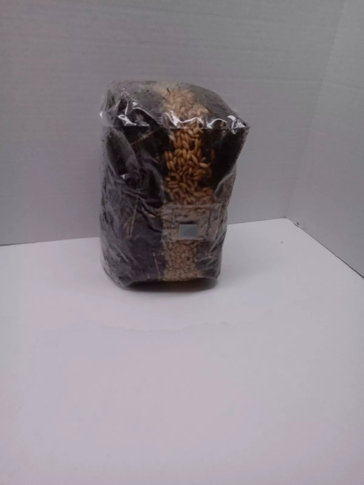 5.5 lb All in One Mushroom Grow Bag Sterilized GROWING BIO-BAG KIT FAST SHIP [A]