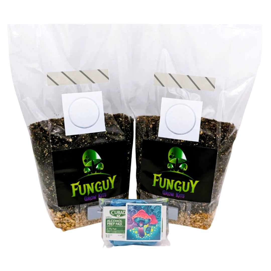2-Pack - All-in-One Mushroom Growing Kit Sterile Grow Bag Rye Grain Substrate