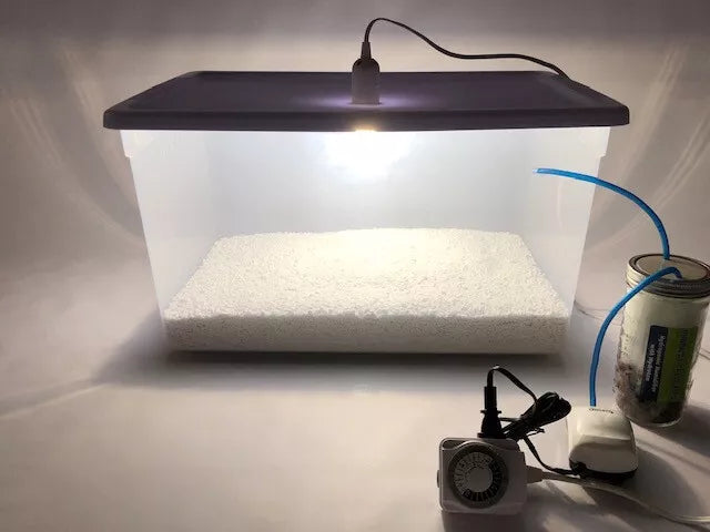Mega Mushroom Growing & Incubator Kit  | Fully Automated  |  18 Sterilized Jars
