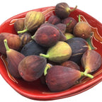 Fignomenal Dwarf Fig Tree ¨C Dwarf Fig Plant ¨C Self Fertile