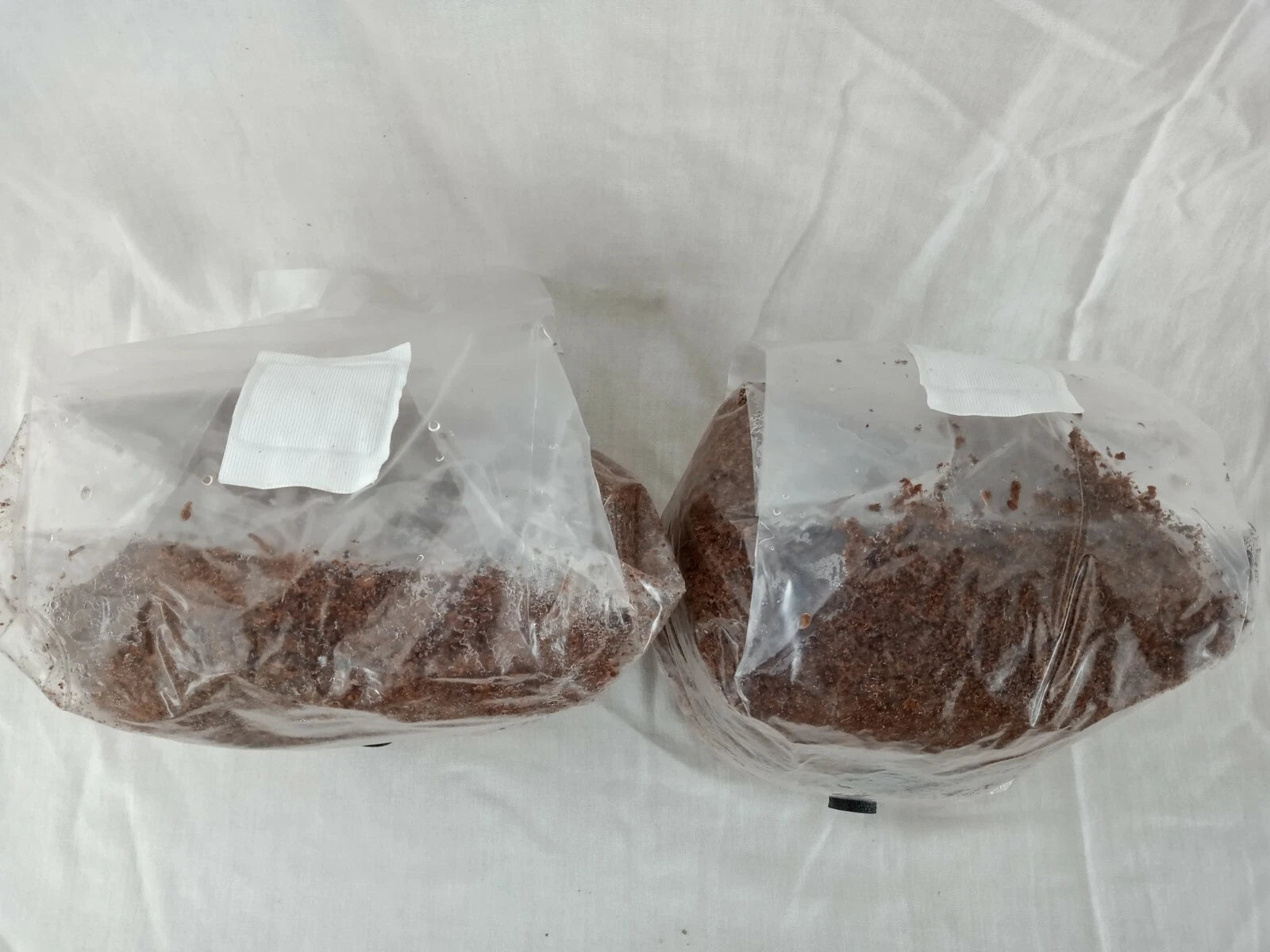 2 All in One Mushroom Grow Bags Sterilized 3.5lb GROWING BIO-BAG KIT FAST SHP[A]