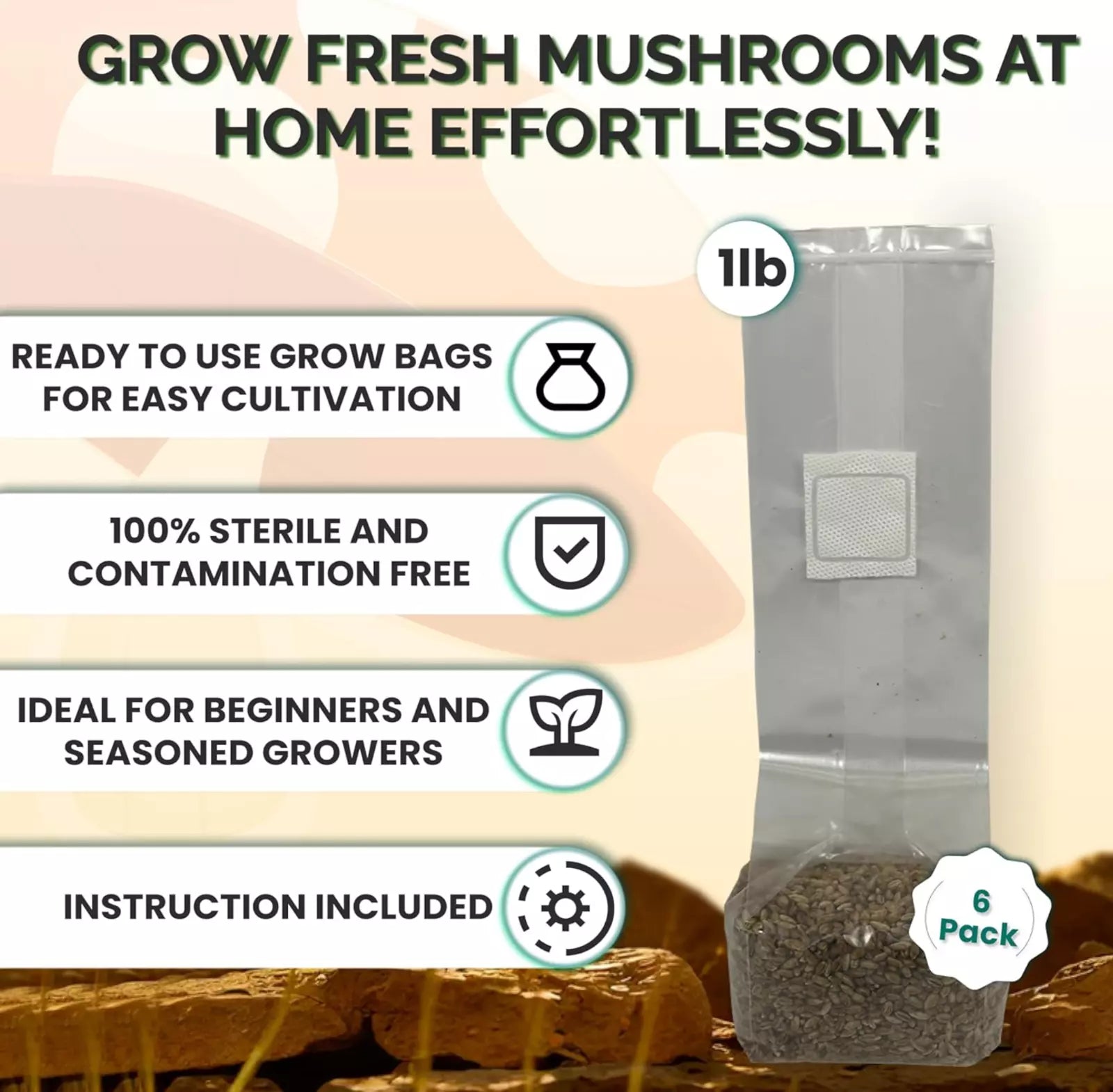 6 x one pound sterilized rye grain bags with injection ports mushroom substrate