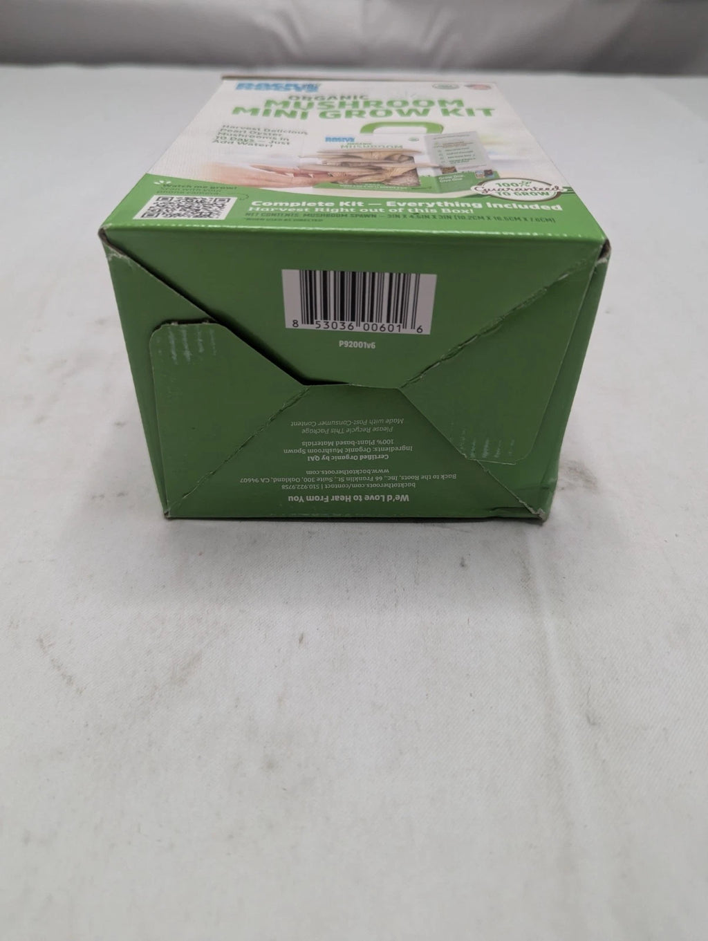 Back To The Roots Organic Mini Pearl Oyster Mushroom Grow Kit