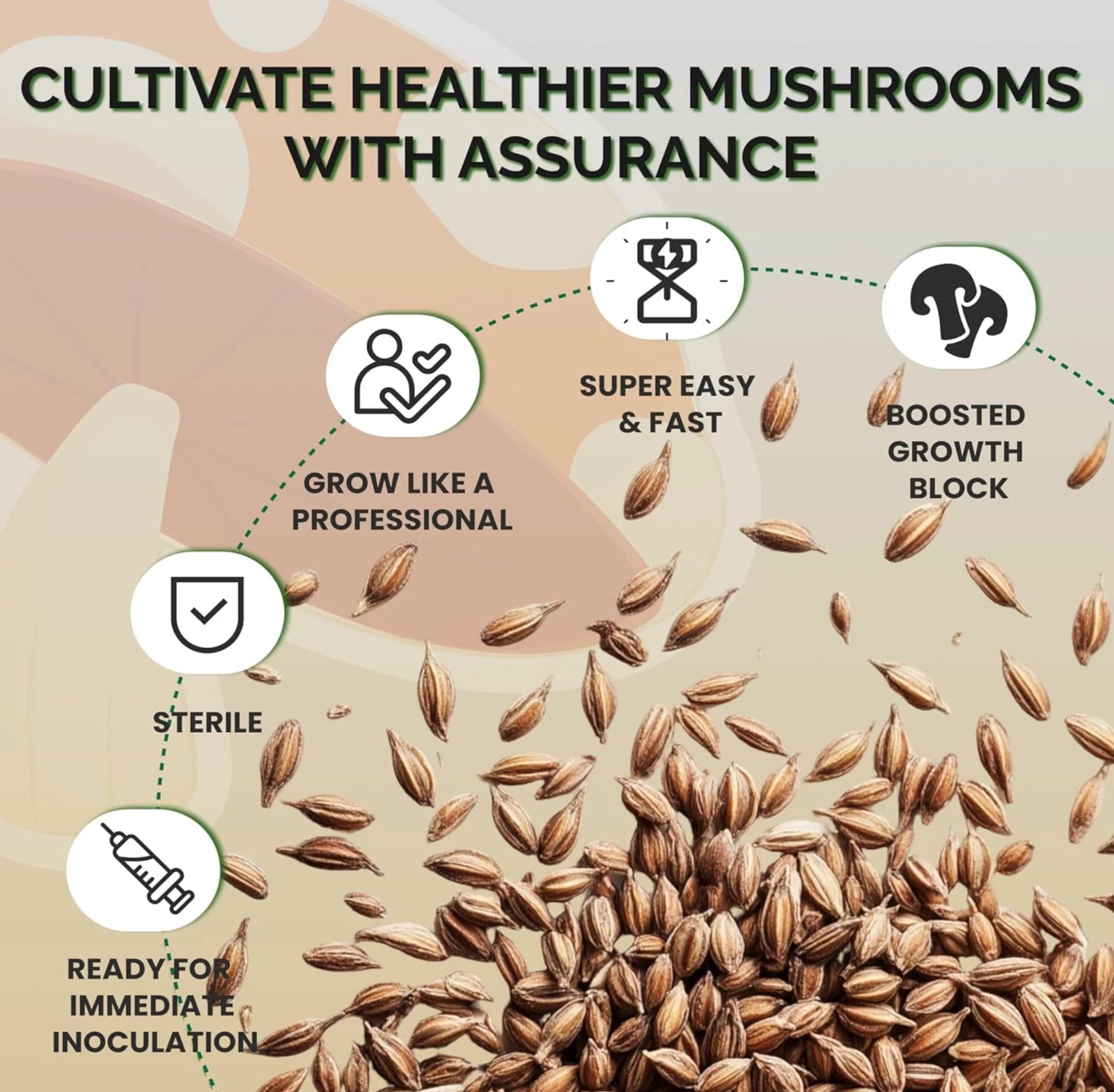 6 x one pound sterilized rye grain bags with injection ports mushroom substrate
