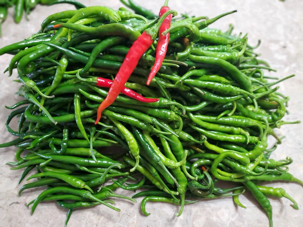VERY HOT Long Cayenne Chilli pepper HEIRLOOM 30+ seeds 100% Organic Grown in USA