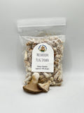 Grey Oyster Mushroom Plug Spawn 100X -FREE USA shipping