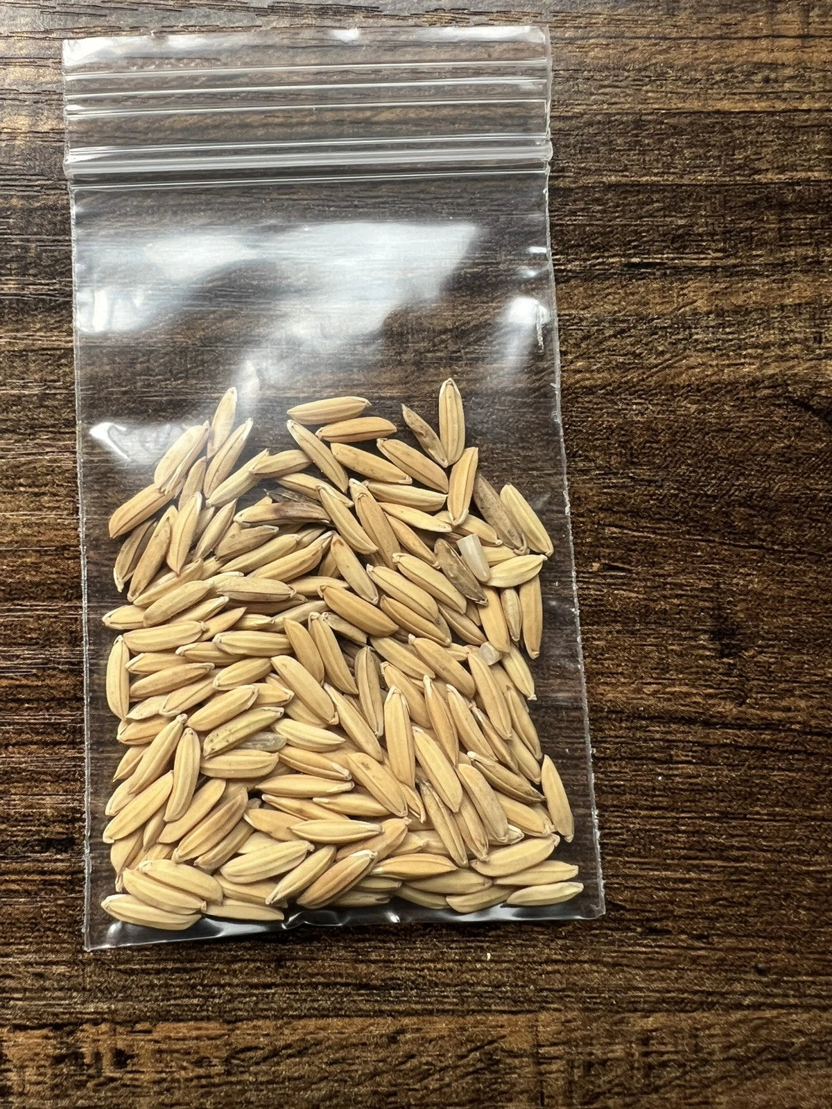 100+ long grain white rice seeds for plant