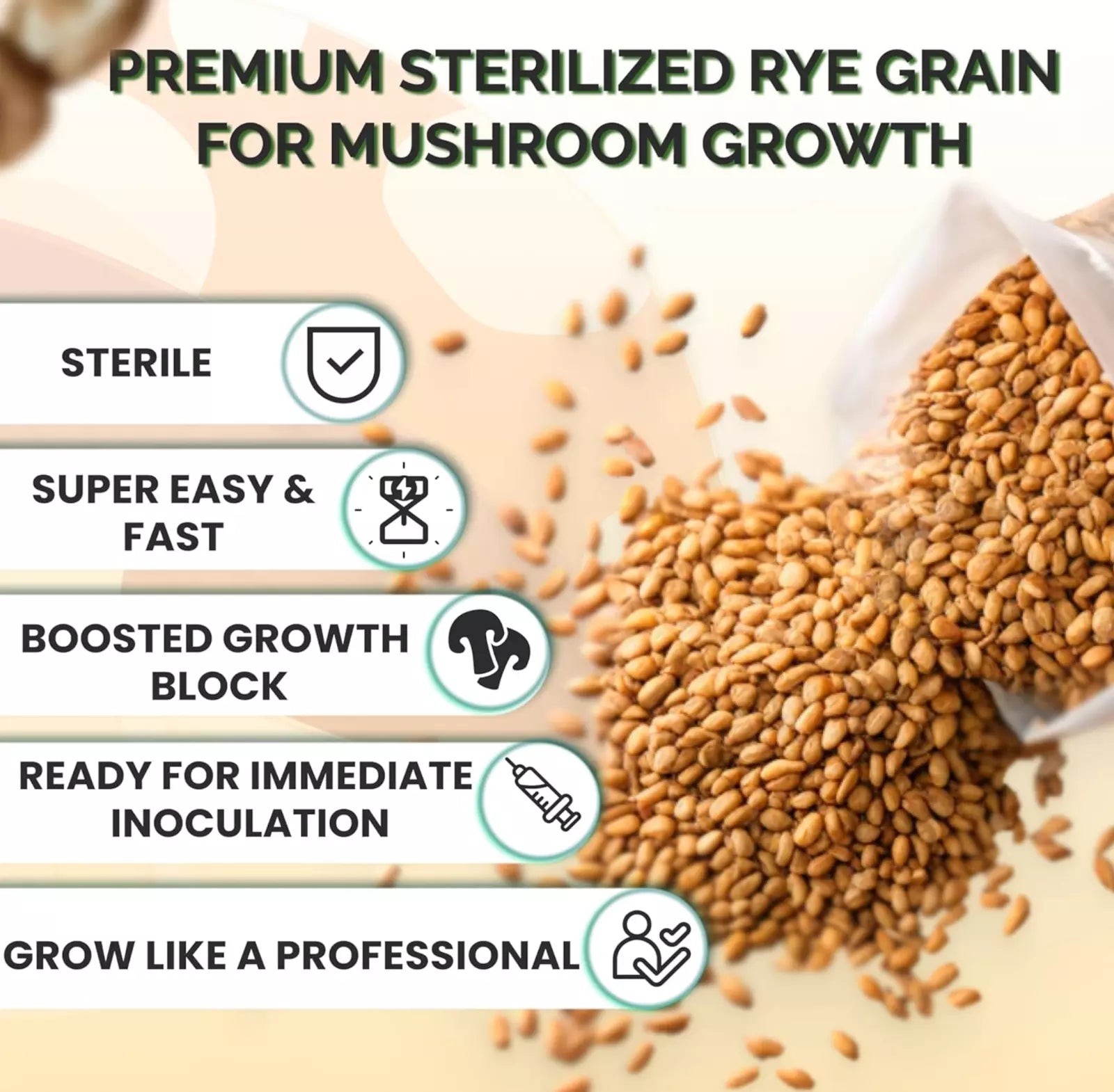 6 x one pound sterilized rye grain bags with injection ports mushroom substrate