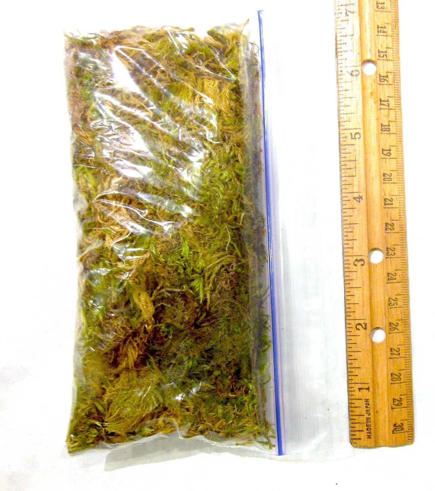 1 oz Dried Forest Moss Organic, Snack Bag Garden Moss Terrarium Vivarium Garden