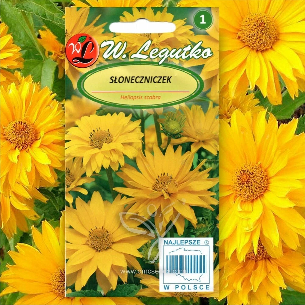 OX EYE SUMMER SUN Heliopsis Helianthoides Scabra - 50 SEEDS