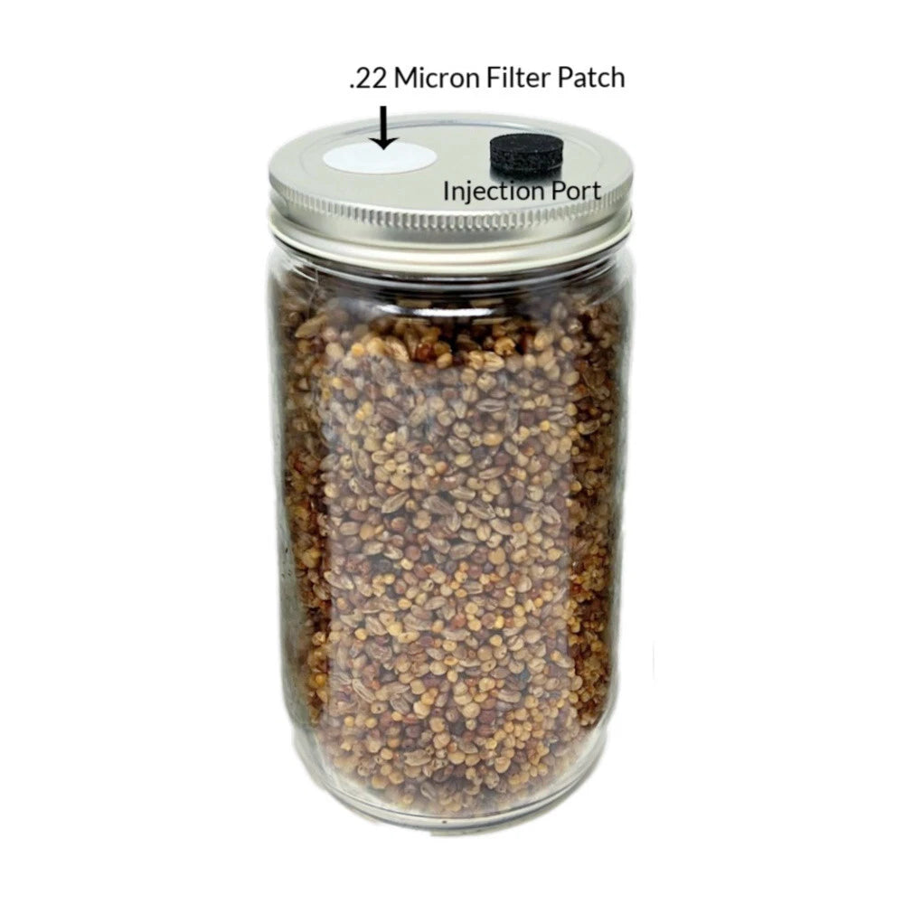 Premium 5-Grain Mushroom Quick Colonizing 32oz 5-Grain Spawn Jars 3-Pack