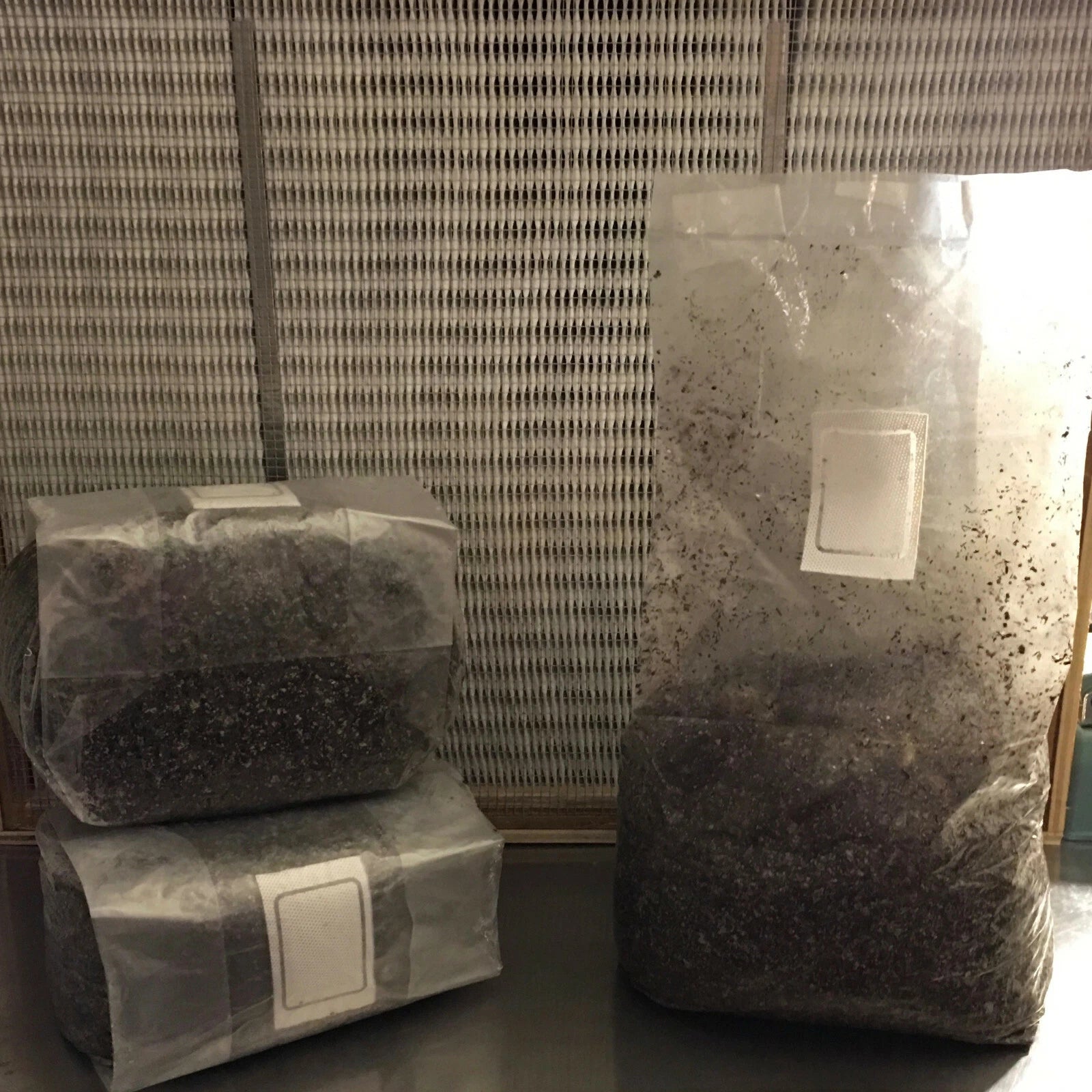 MycoHaus 2X Five LB Bags Sterilized Compost Bulk Mushroom Substrate  Grow Kit