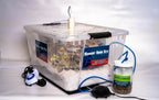 Mega Mushroom Growing & Incubator Kit  | Fully Automated  |  18 Sterilized Jars