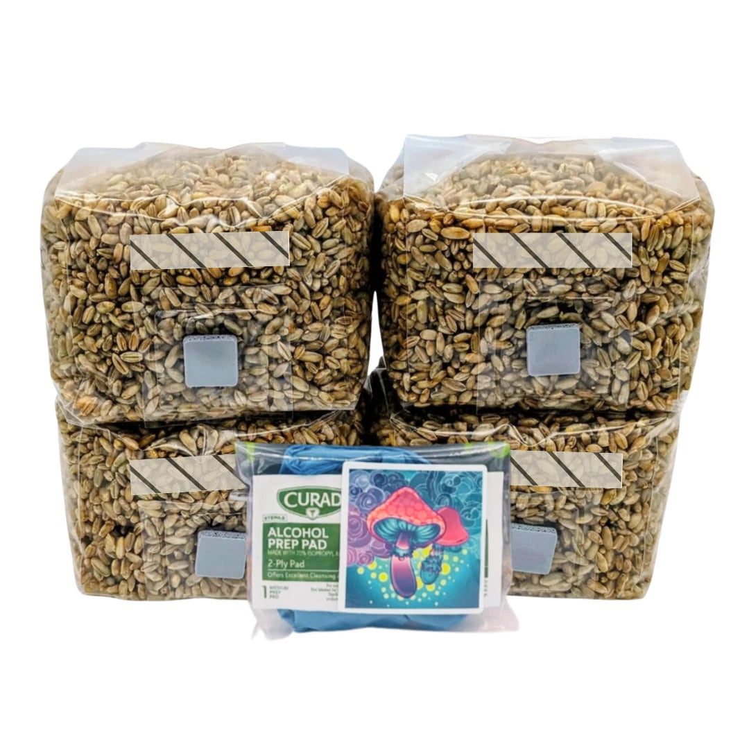 4x 1lb Sterile Mushroom Grain Spawn Bags ¨C Rye Berries Grow Kit Injection Ports