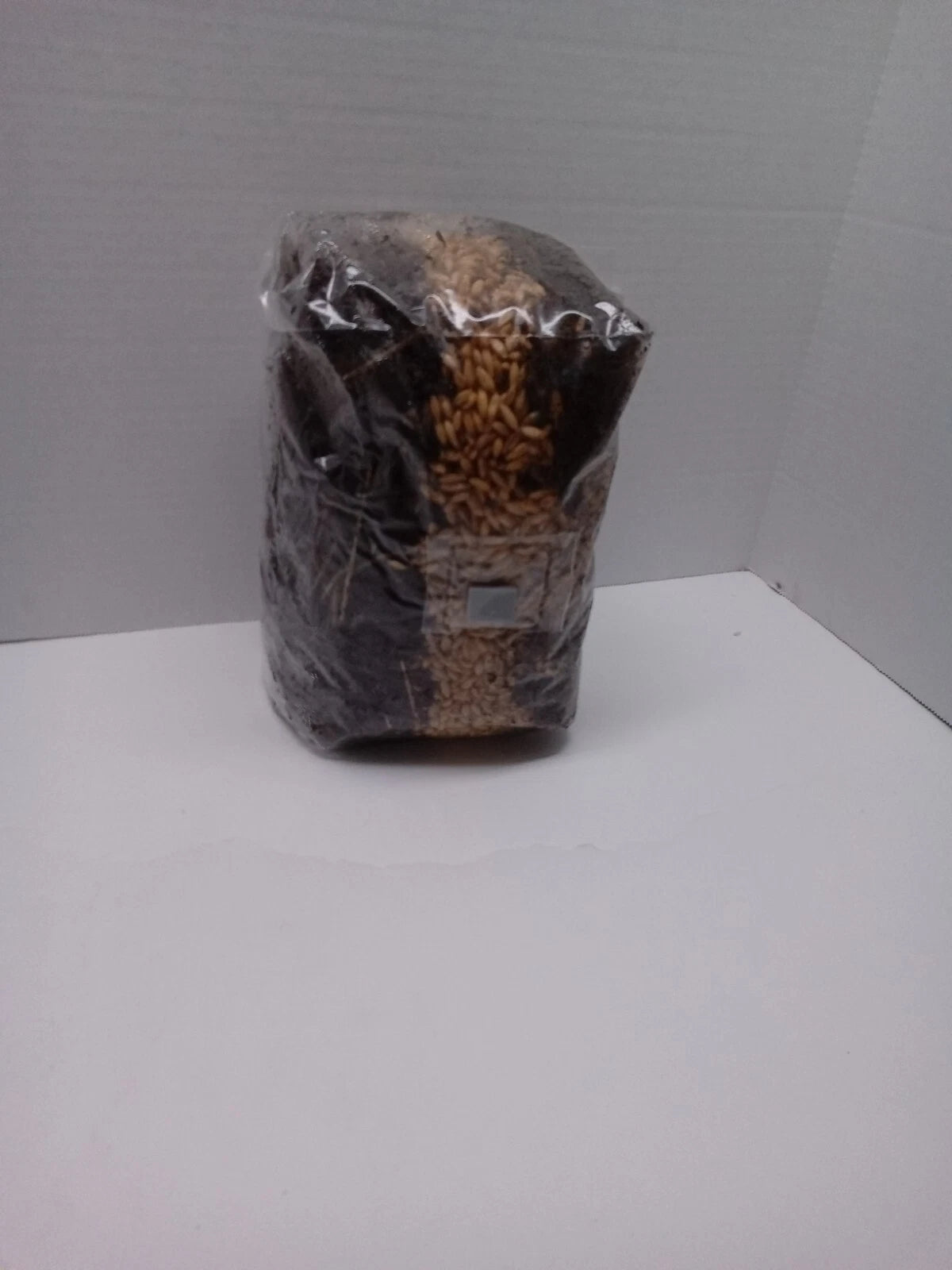 Mushroom Grow Bag 5.5 lb DUNG BASE sterile All in One GROWING  KIT FAST SHIP [B]
