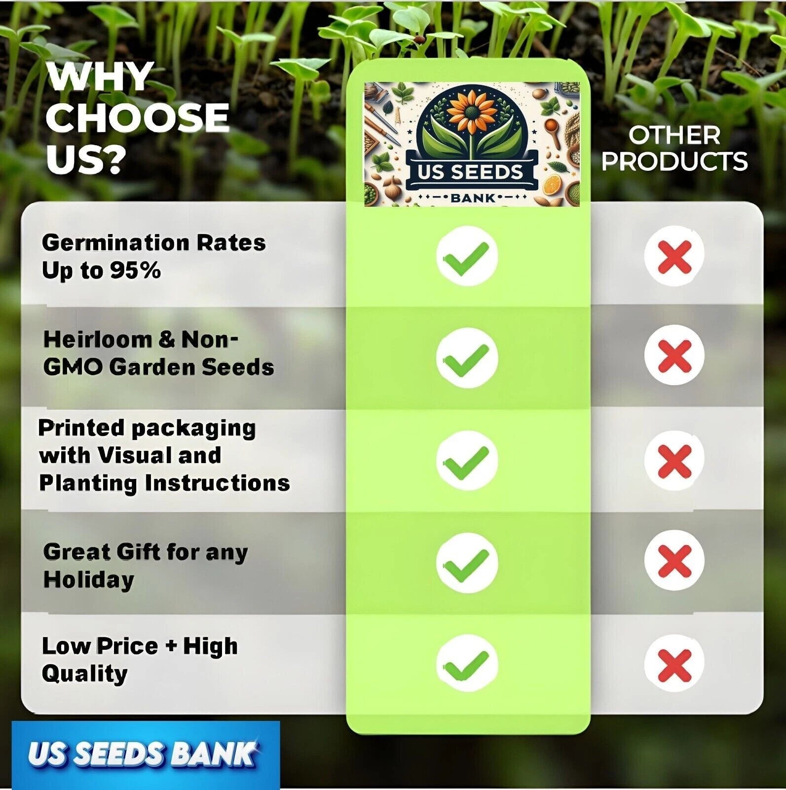 1000 Emerald Zoysia Grass Seeds ¨C Premium Lawn Turf Drought & Heat Tolerant