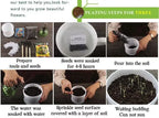 50 Perennial Turkish Rocket seeds Zones 4-9