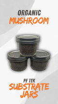 6 - Organic Fast Growing Mushroom Substrate Jars PF TEK BRF Sterilized Half Pint