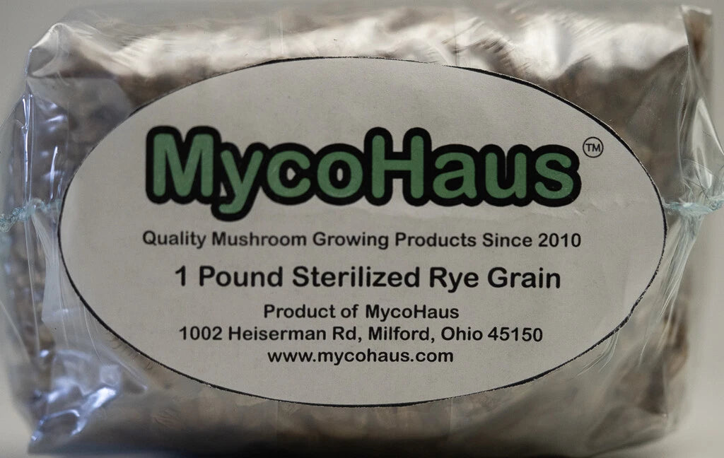 6 x one pound sterilized rye grain bags with injection ports mushroom substrate